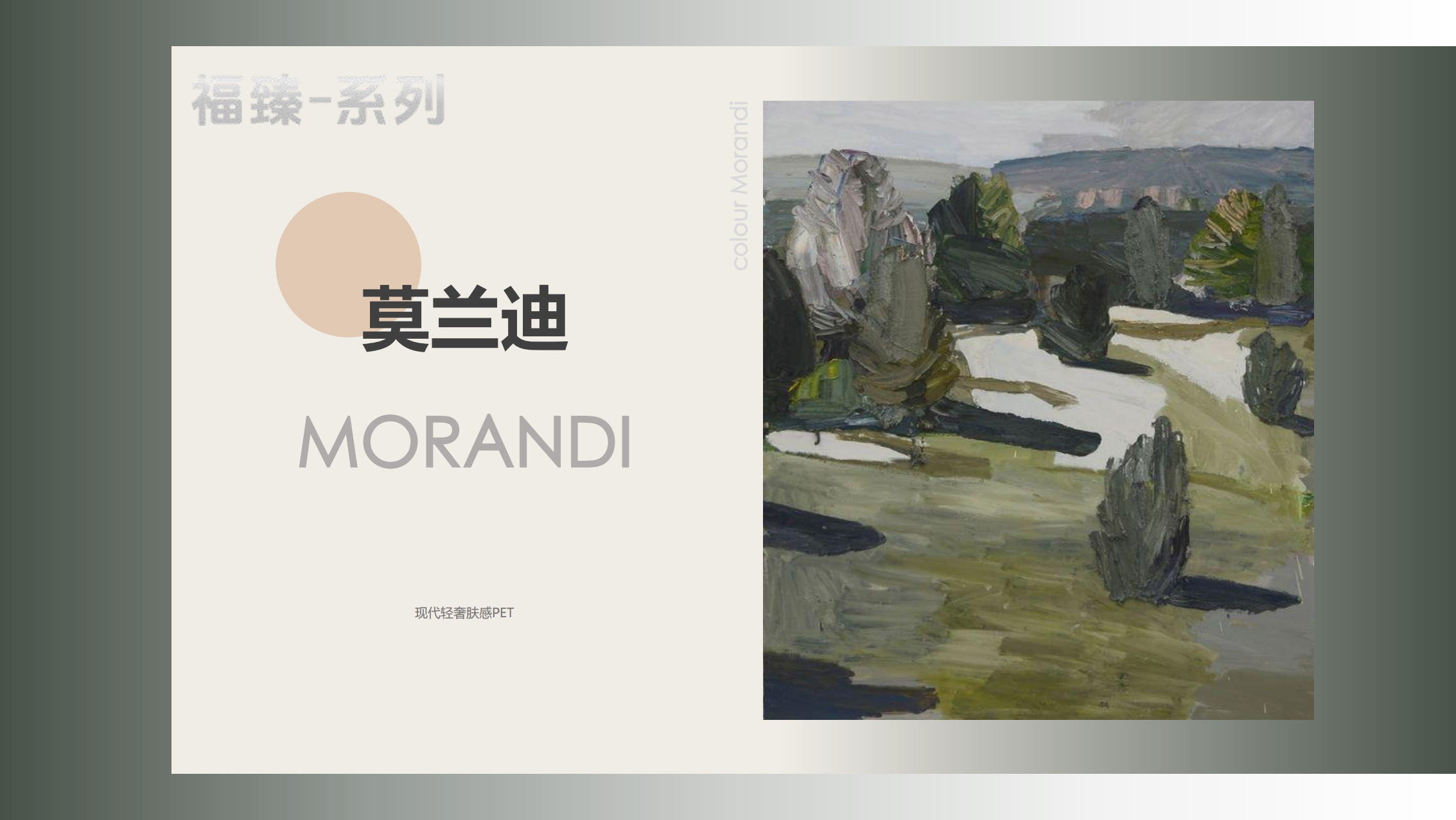 14.莫蘭迪-產(chǎn)品介紹（PET）_01.png